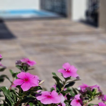 Del Parque Flats Balneario De Pina Βίλα Μάλαγα Εξωτερικό φωτογραφία