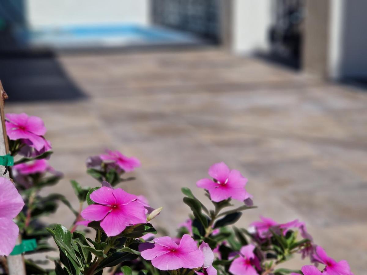 Del Parque Flats Balneario De Pina Βίλα Μάλαγα Εξωτερικό φωτογραφία